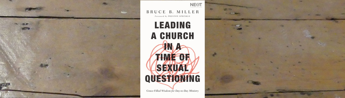 leading a church in a time of sexual questioning book