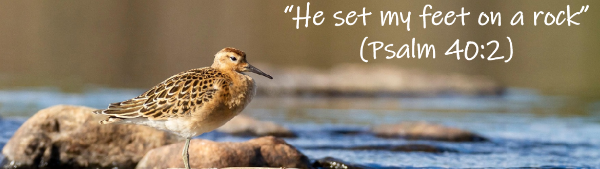 Psalm verse