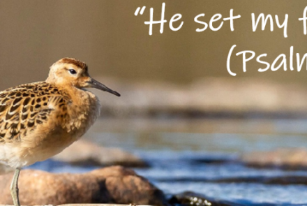 Psalm verse